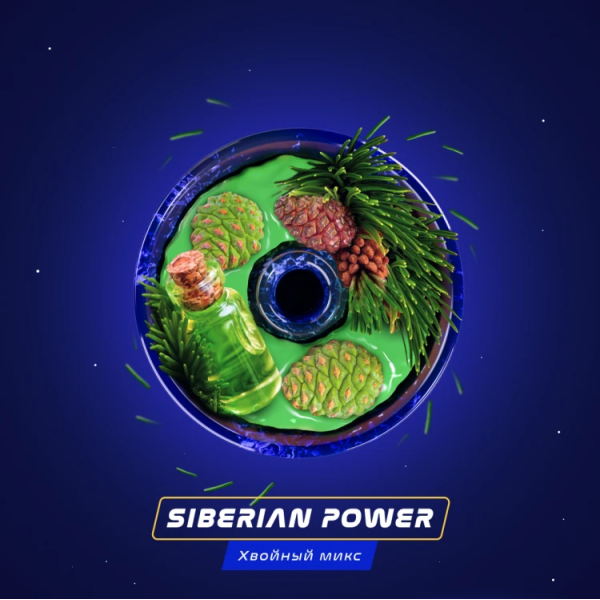Паста Space Smoke BASIC Siberian Power (Хвоя Сосна Пихта) 30 гр в Казани